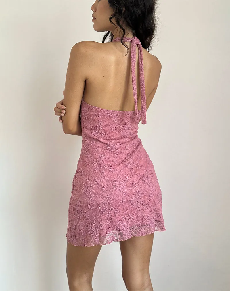 Codami Halterneck Mini Dress in Lace Dusty Rose