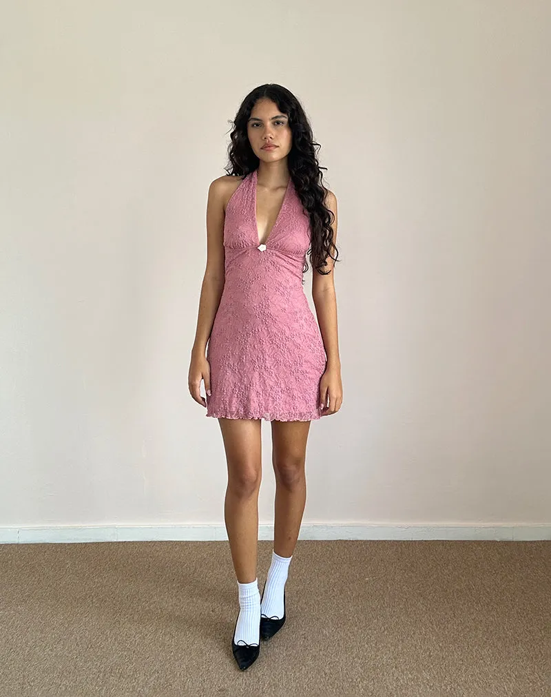 Codami Halterneck Mini Dress in Lace Dusty Rose