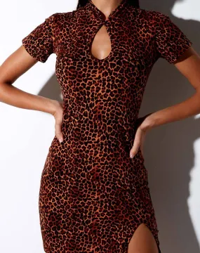 Marlin Bodycon Dress in Ditsy Leopard Orange